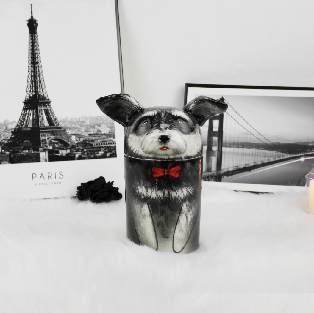 Aevumpet creative pet memorial