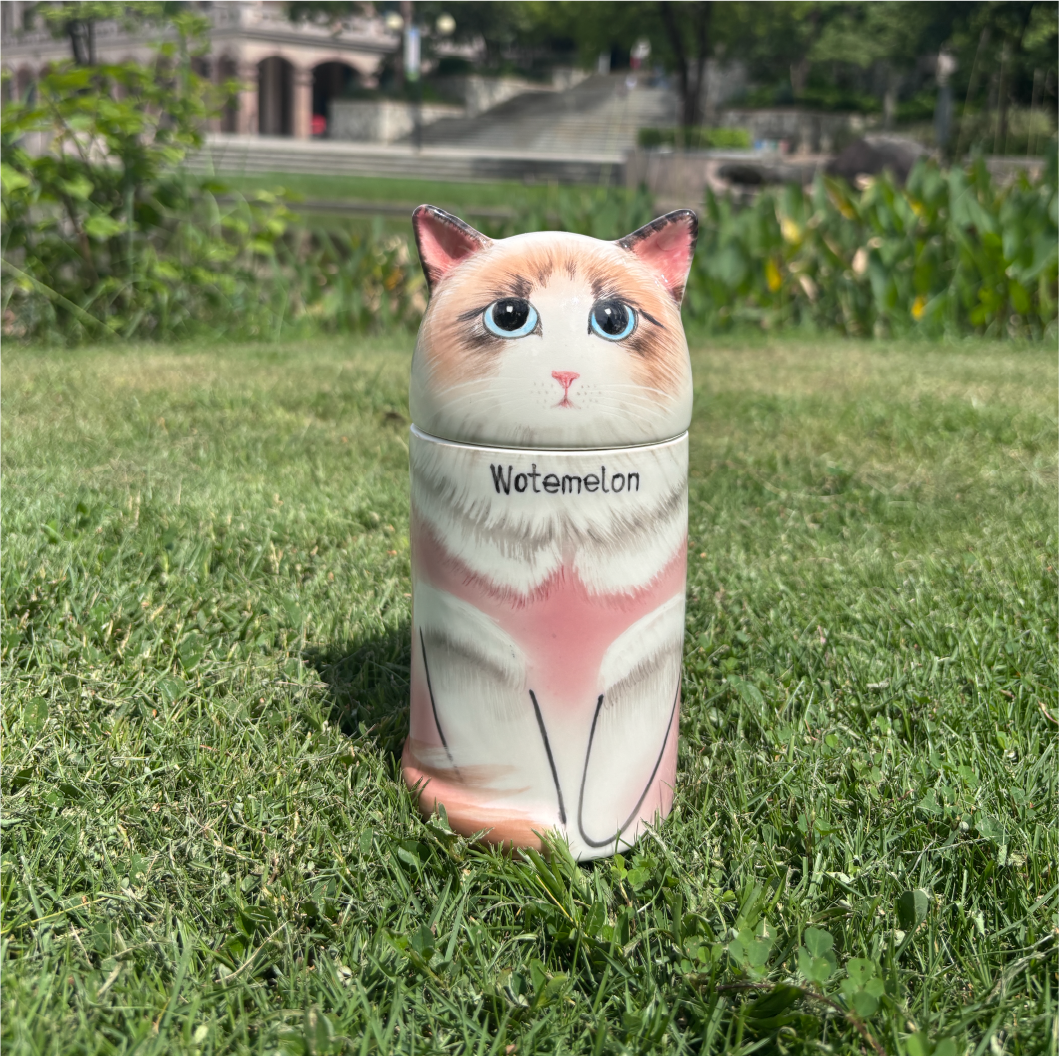 Ceramic urn for beloved cat