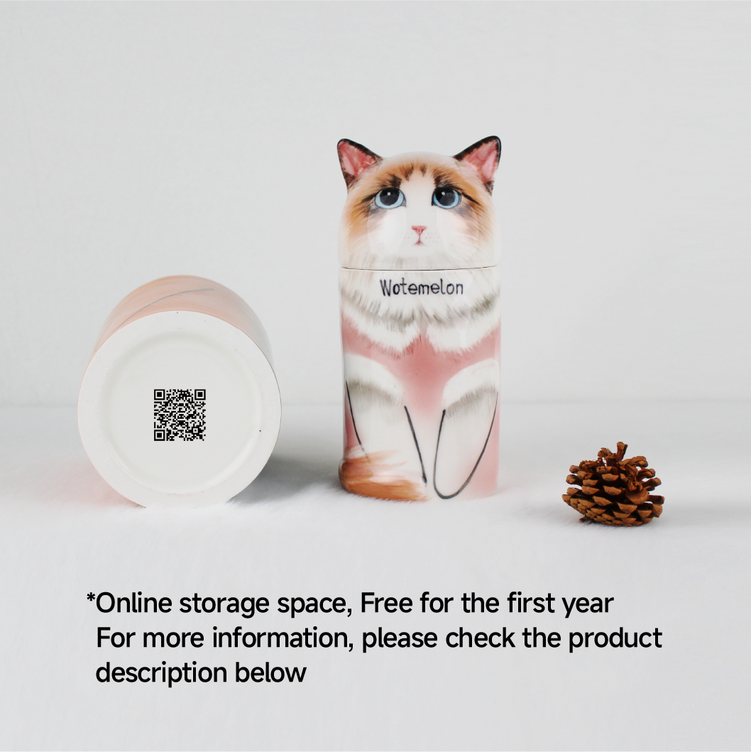 Aevumpet ceramic cat urn