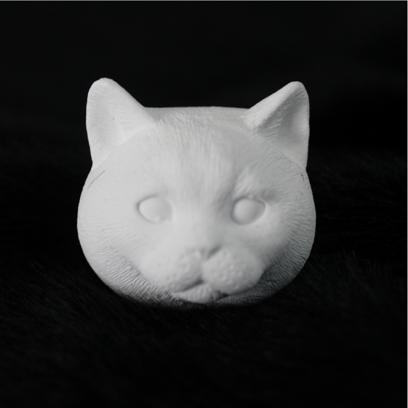 handmade pet plaster photo frame with sculpture detail