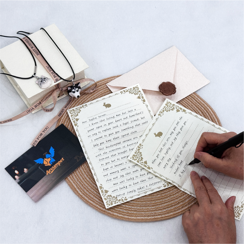 pet plaster necklace with handwritten card gift set
