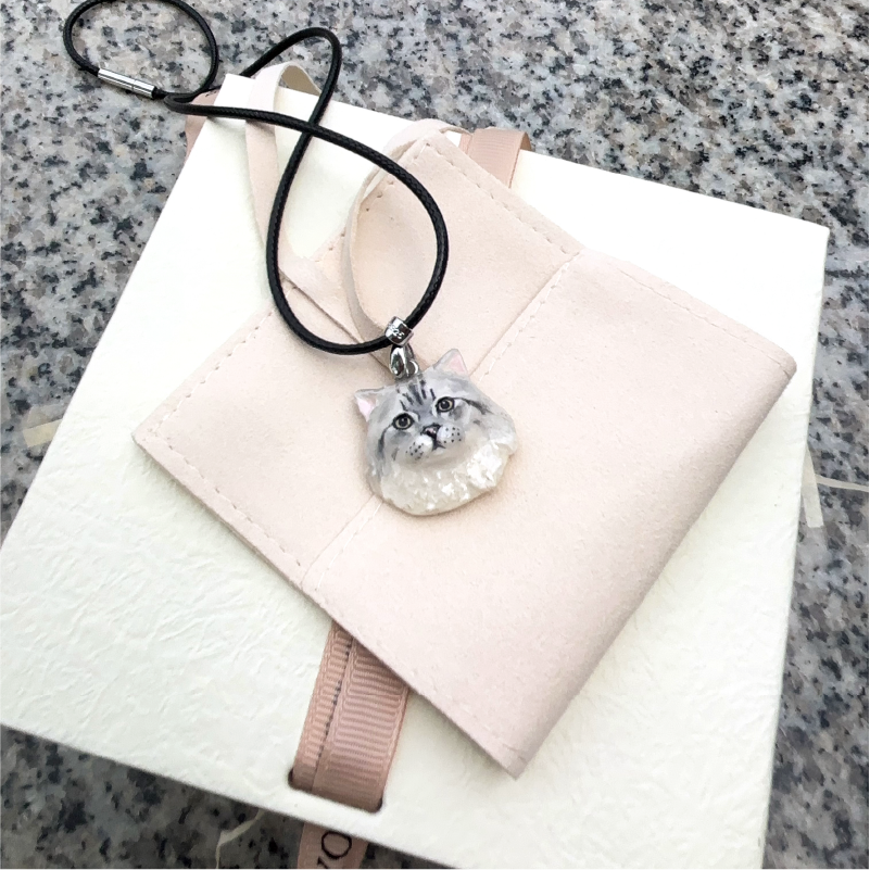 Personalized plaster pet necklace displayed with packaging