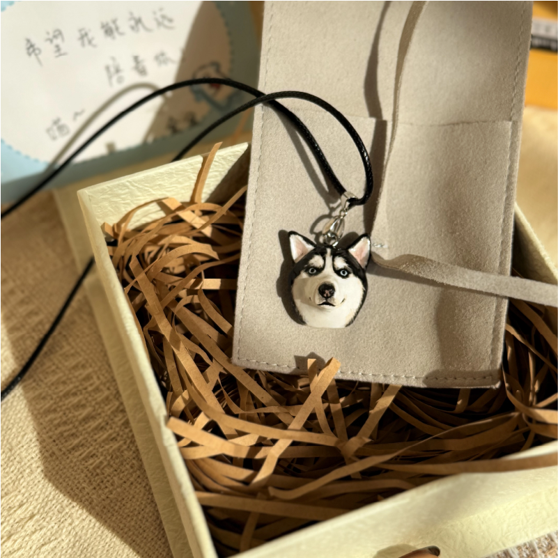 pet plaster necklace gift in packaging box