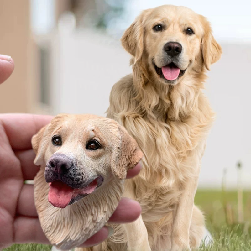 custom pet plaster refrigerator magnet keepsake